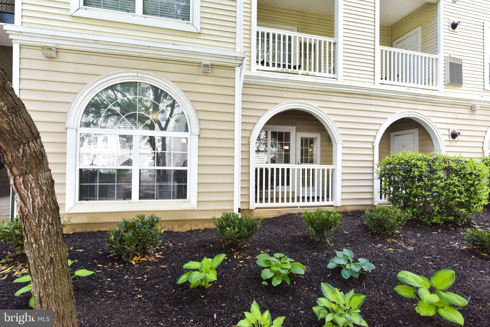 4561 Strutfield Ln unit 3103, Alexandria, VA 22311 - photo 1