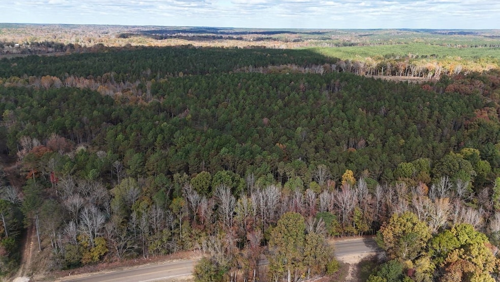 County Road 9, Bruce, MS 38915 - photo 1