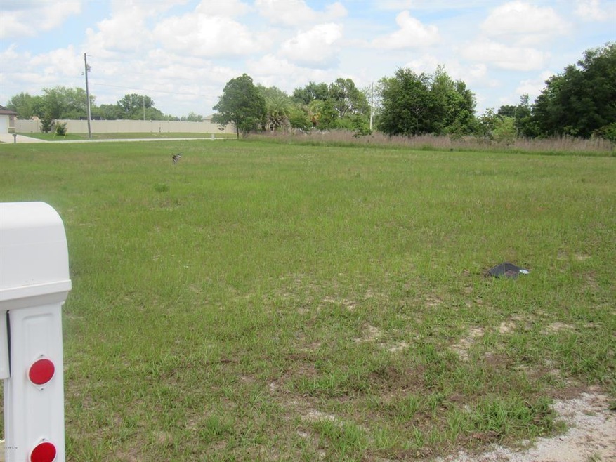 16325 SW 17th Terrace Rd, Ocala, FL 34473 - photo 1