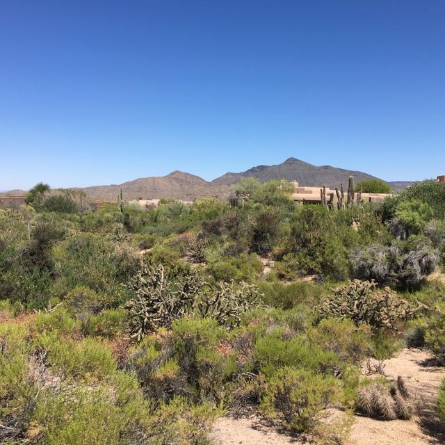 DesertMountain5