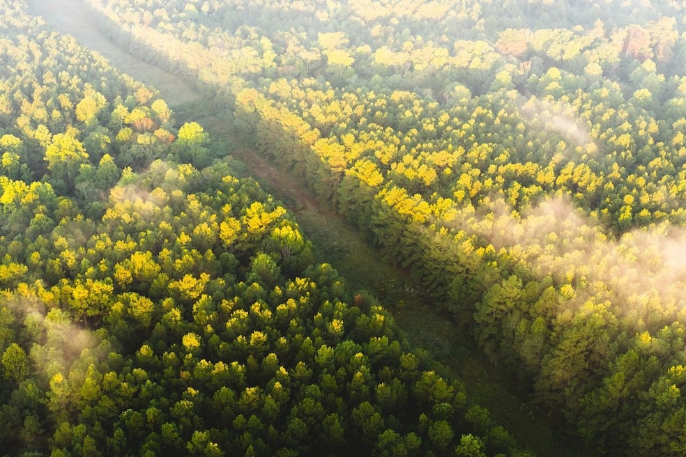 0 Grice Rd, Columbia, MS 39429 - photo 1