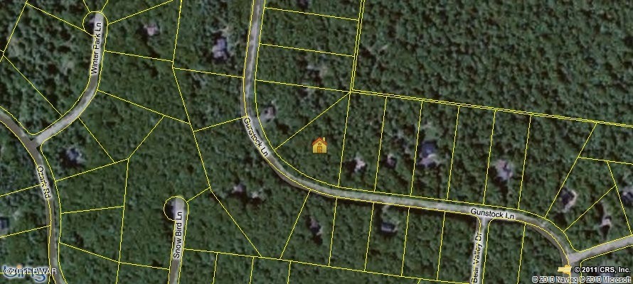 133N Gunstock Ln, Blooming Grove Township, PA 18464 - photo 1