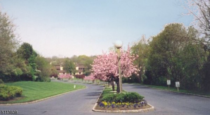 96 Overlook Dr unit 198H, Clinton, NJ 08809 - photo 1