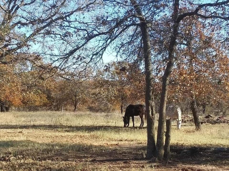 920 Almaka Dr, Poolville, TX 76487 - photo 1