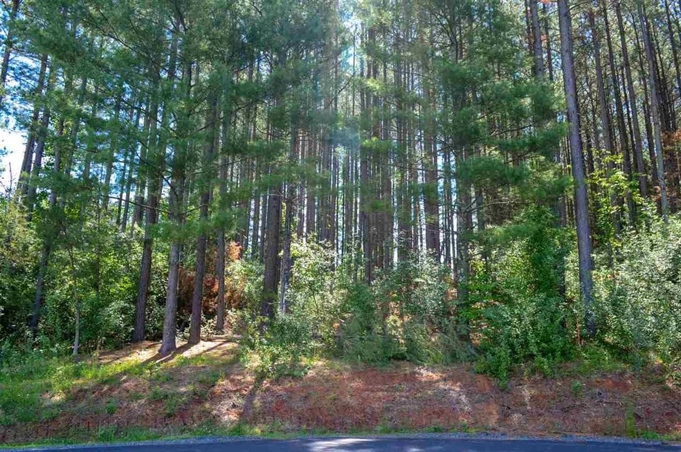 0 Guildford Farm Rd unit 604314, Ruckersville, VA 22968 - photo 1