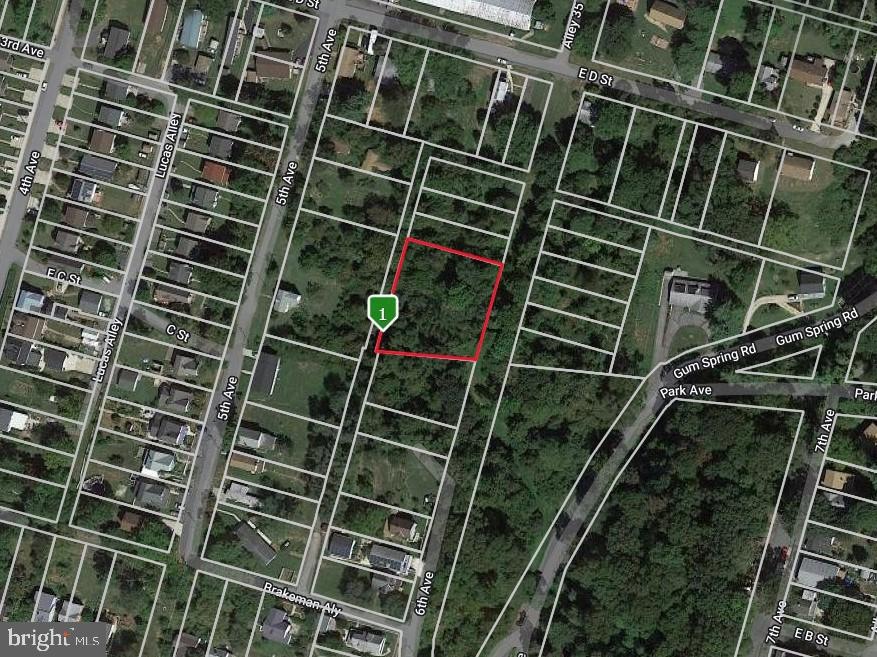 217 6th Ave, Brunswick, MD 21716 - photo 1