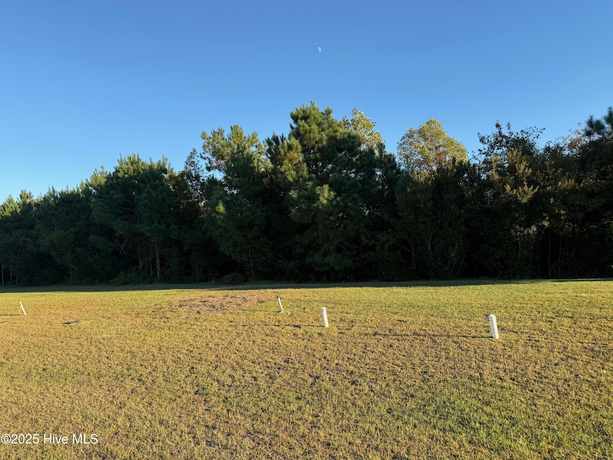 157 Whispering Pine Ln, Holly Ridge, NC 28445 - photo 1