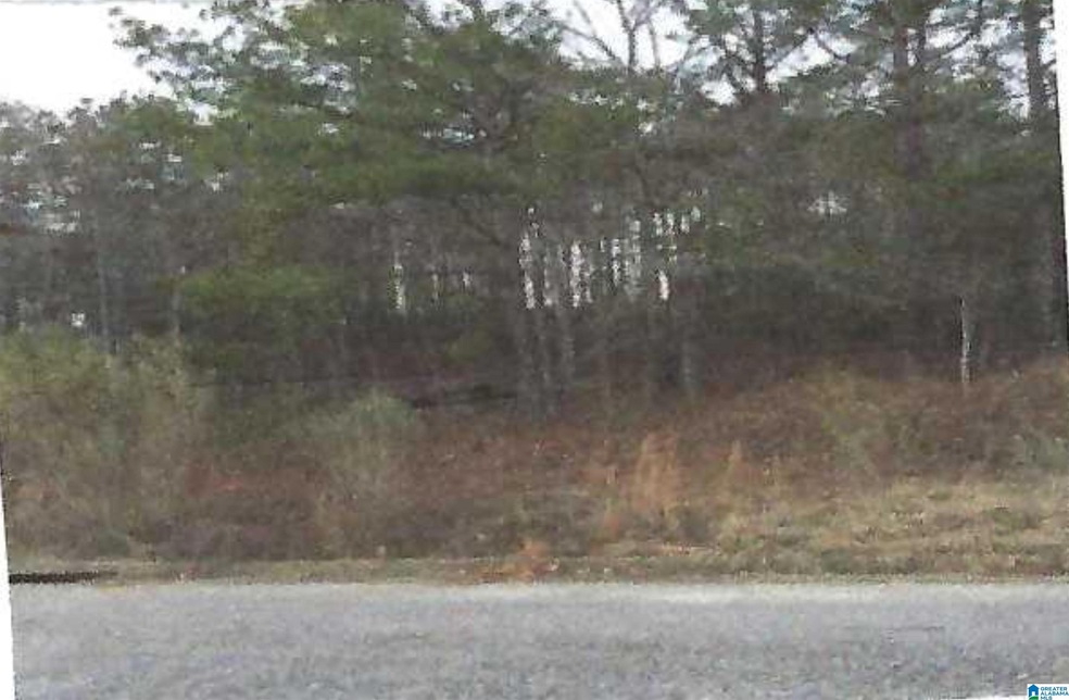 6440 Waters Edge Cir unit Lot 8 Morgans Run Su, Bessemer, AL 35022 - photo 1