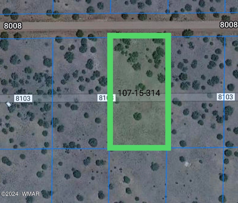 52 Co Rd unit 8008, Concho, AZ 85924 - photo 1