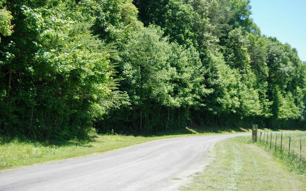 0 Boardtown Rd unit 278789, Ellijay, GA 30540 - photo 1