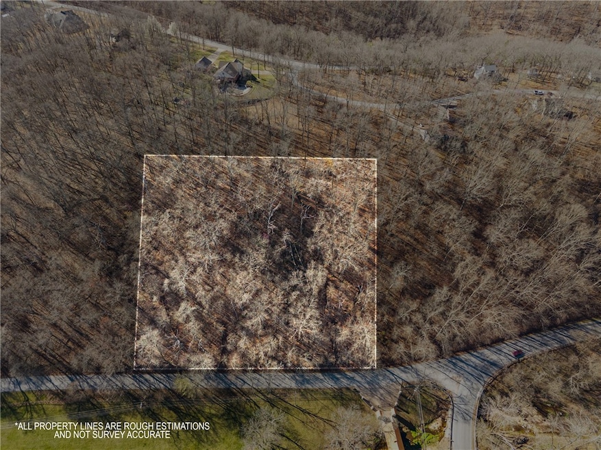 West 4AC Spanker Creek Rd, Bentonville, AR 72712 - photo 1