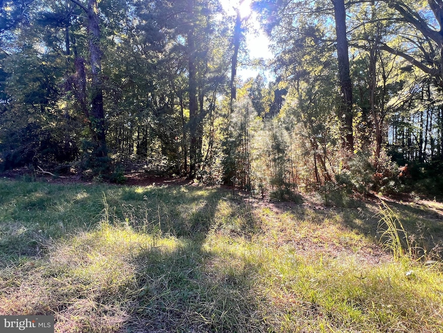 252 Lighthouse Ln, Montross, VA 22520 - photo 1