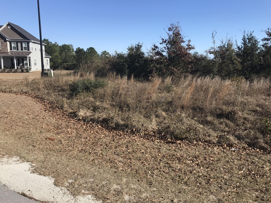 214 Royal Palms Way, Holly Ridge, NC 28445 - photo 1