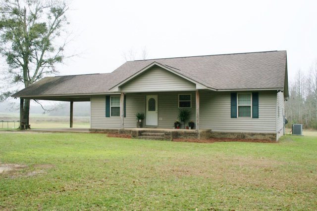 Main View