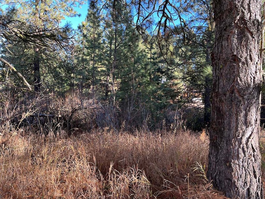 L129 Par Dr unit 129, Cascade, ID 83611 - photo 1