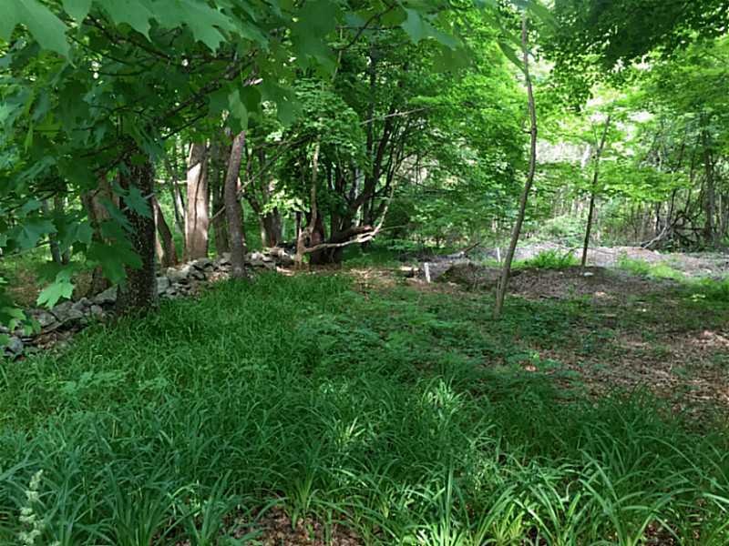 Land/Lot.