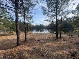 1043 24th St, McComb, MS 39648 - photo 1