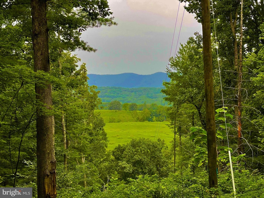 0 Whitney Ln unit VAWR2006542, Bentonville, VA 22610 - photo 1