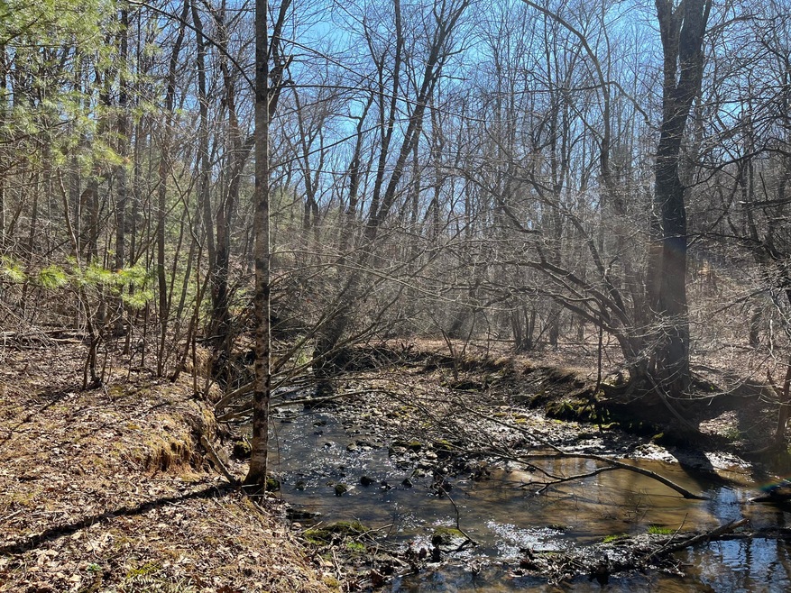 Middle Creek