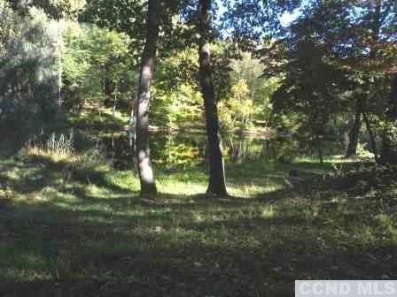 0 Church Ave unit 94606, Germantown, NY 12526 - photo 1