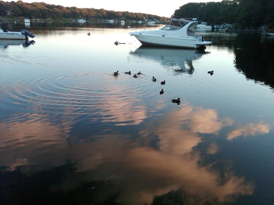 Sold $595,000 • Co-Listing Agent