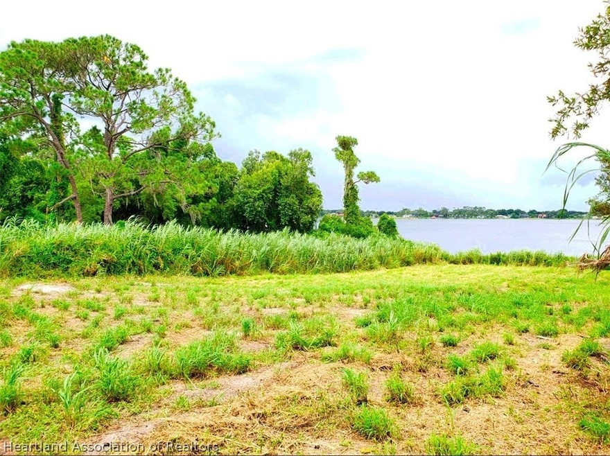 216 S Huntley Dr, Lake Placid, FL 33852 - photo 1