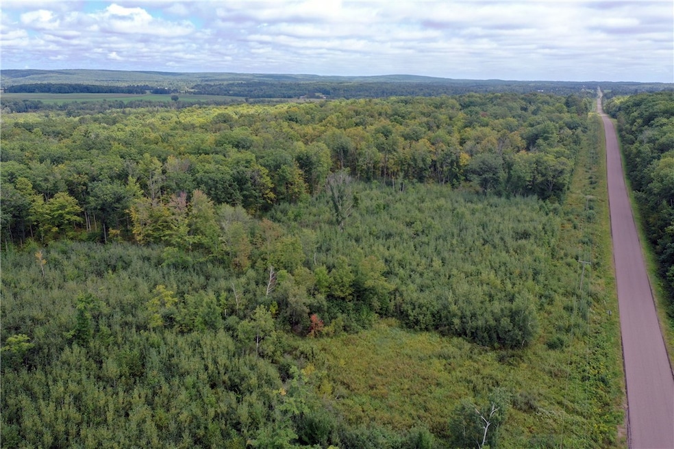 TBD - E 16th Ave, Sumner, WI 54868 - photo 1