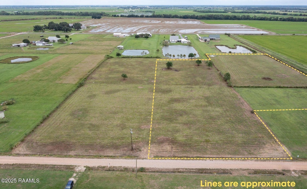 Tbd G Mulberry Ln, Iota, LA 70543 - photo 1