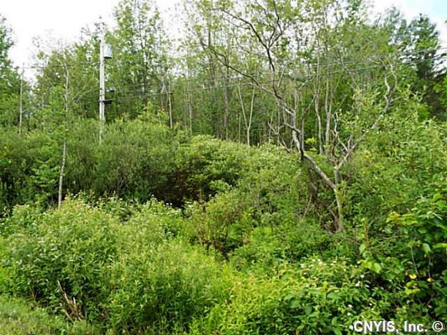 Land/Lot