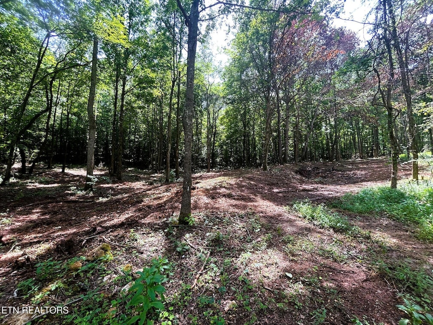 Tract 8 Pleasant Hill Rd