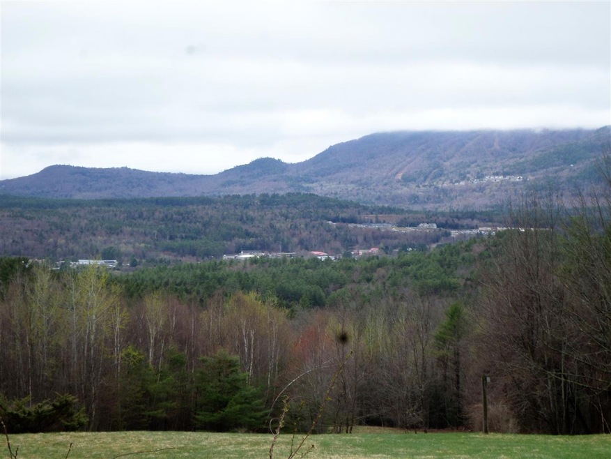(photo taken from abutting parcel/ home)