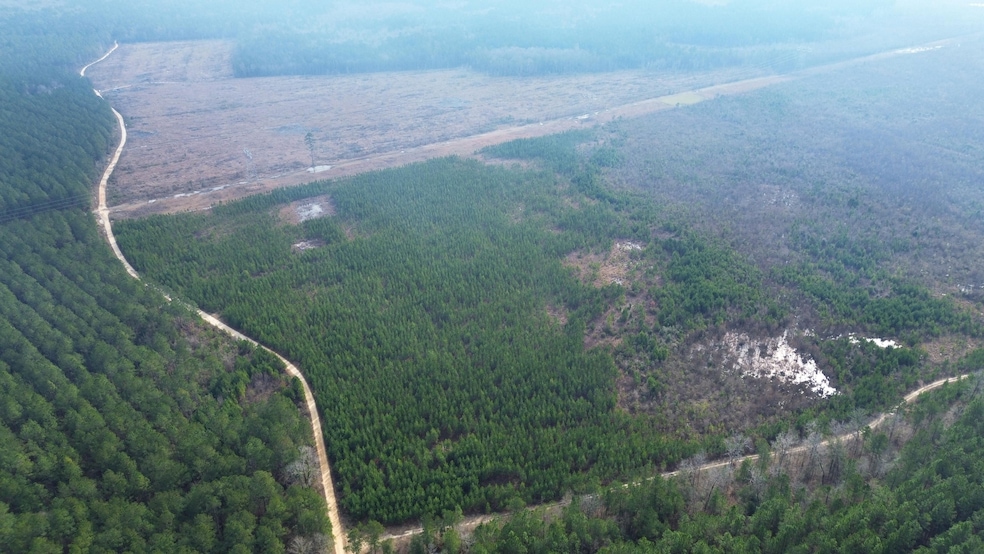 0 Newington Hwy unit 25460805, Sylvania, GA 30467 - photo 1