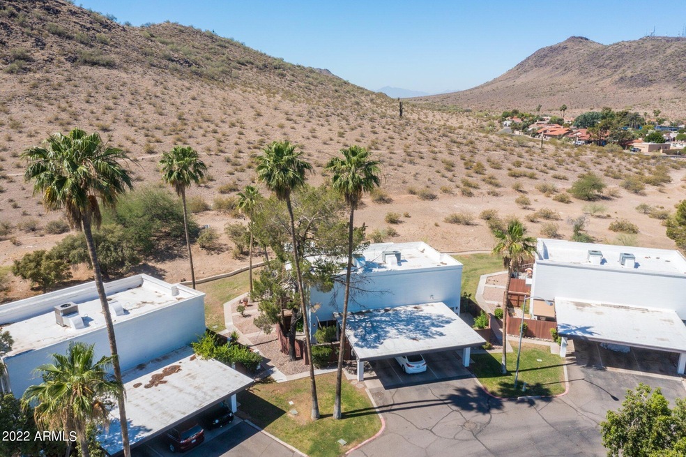 33-web-or-mls-DJI_0238