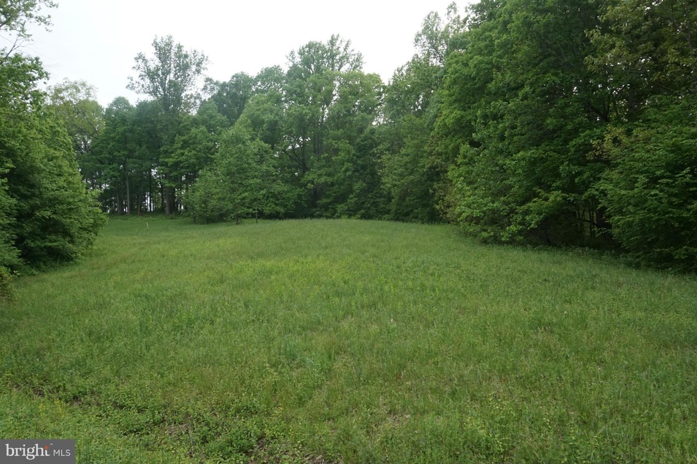 17224 Arrow Point Dr, Orange, VA 22960 - photo 1