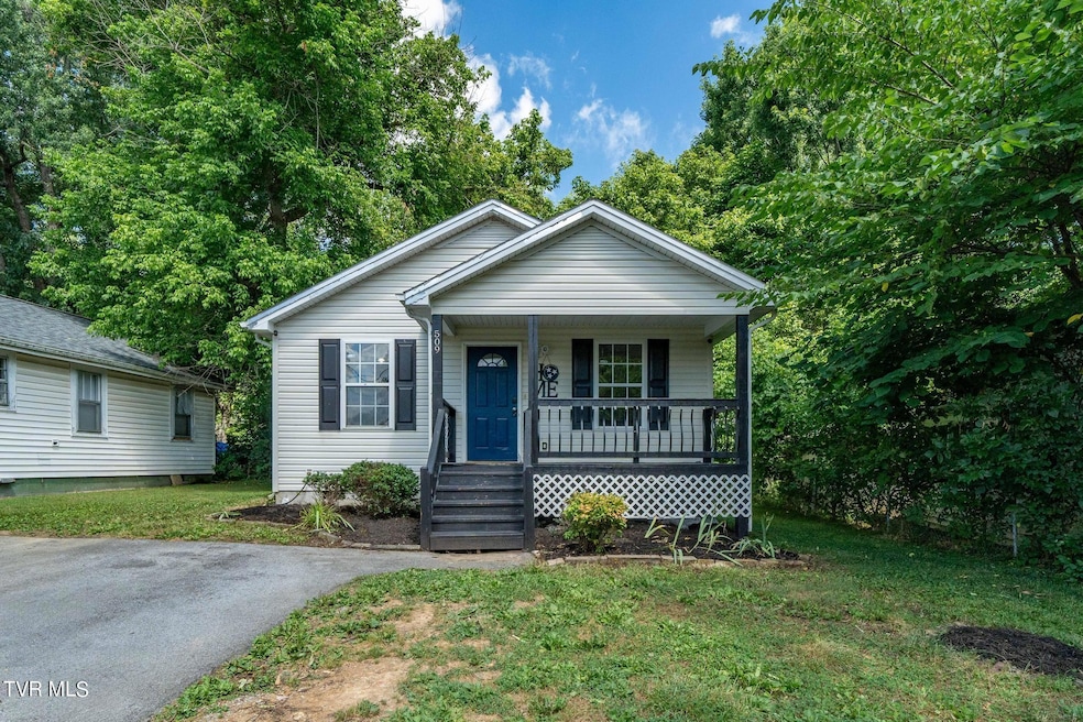 509 Pardee St, Johnson City, TN 37601 - photo 1