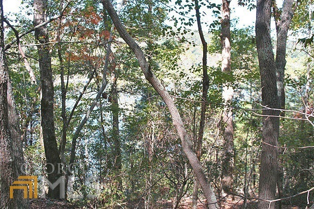 Look closely - Lake Zwerner through the trees
