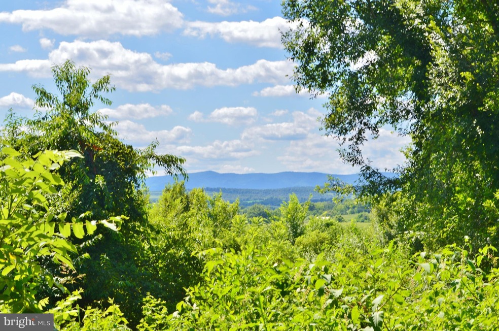 95 Rockville Rd, Quicksburg, VA 22847 - photo 1