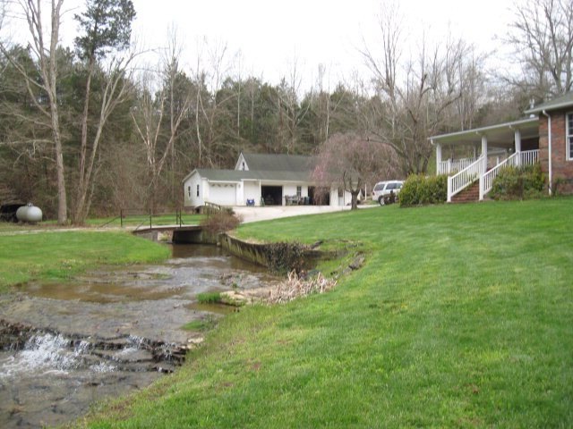 Main View