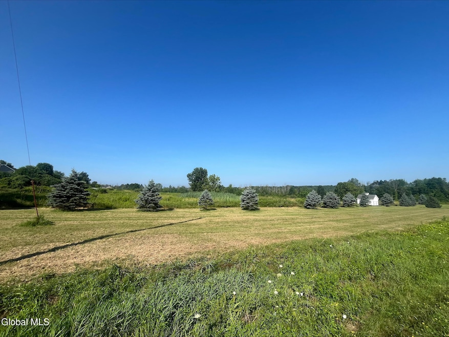 10 Damascus Way, Malta, NY 12020 - photo 1