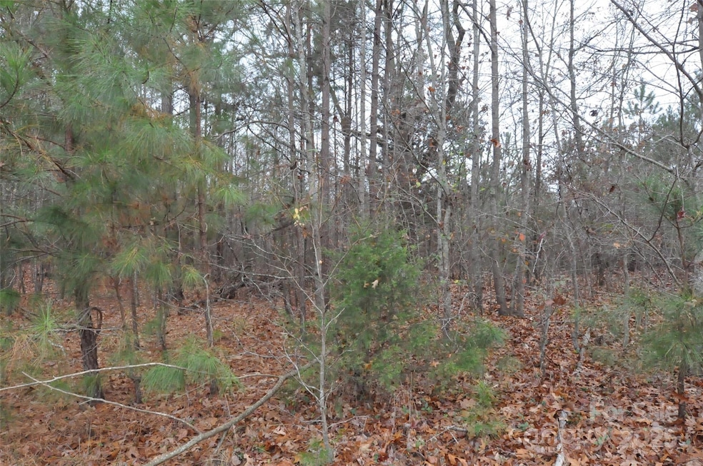 000 Josie Rd, Blackstock, SC 29014 - photo 1