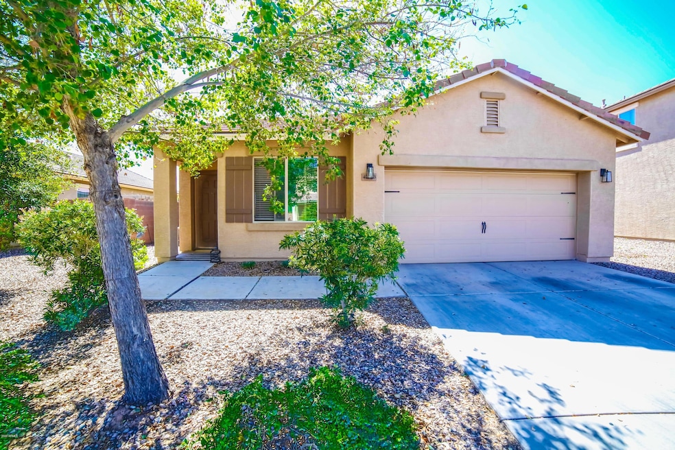 Arvada -1