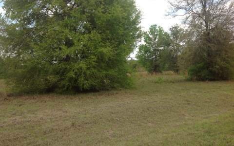 1295 High Field Terrace, Fort White, FL 32038 - photo 1