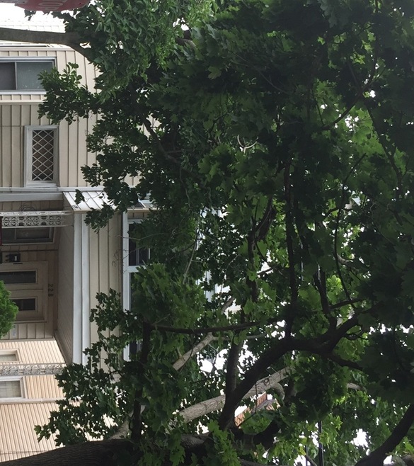 228 Henry St unit 2, Orange, NJ 07050 - photo 1