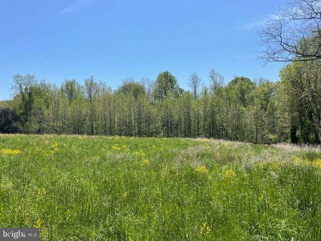 4485 John Deere Place, Pomfret, MD 20675 - photo 1