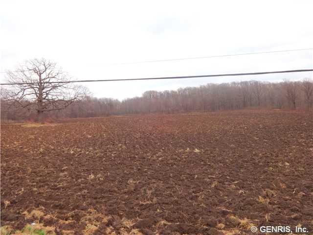 Exterior Front 10 Acre tillable field