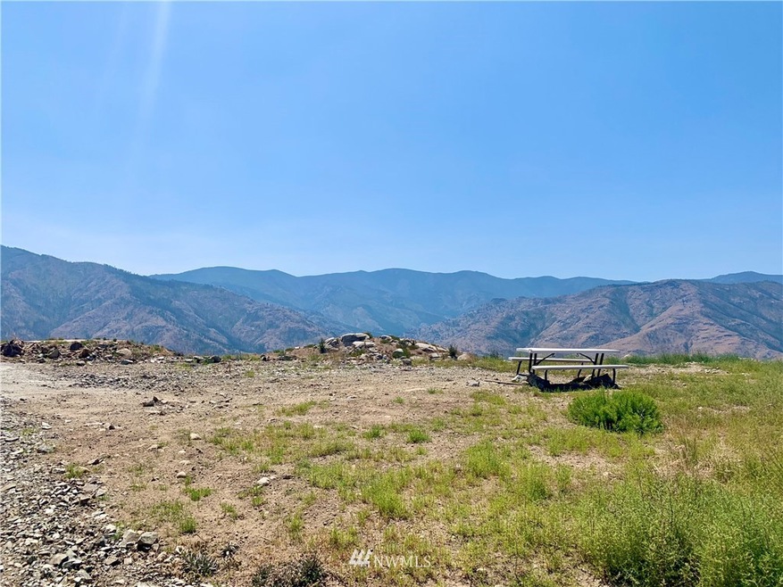 0 Sky Ridge Rd unit 1802804, Methow, WA 98834 - photo 1