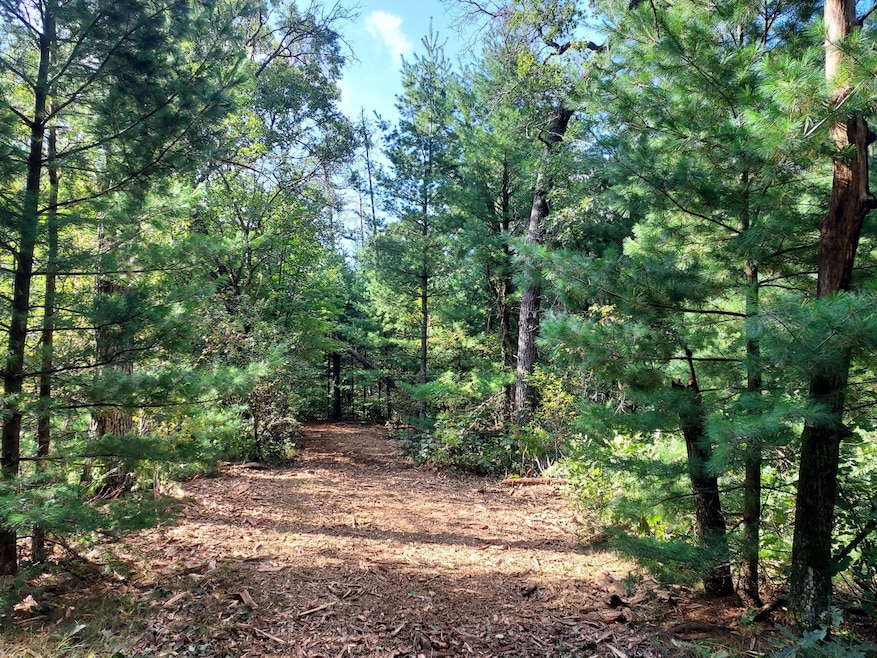 Cumberland Court Dr, Friendship, WI 53934 - photo 1