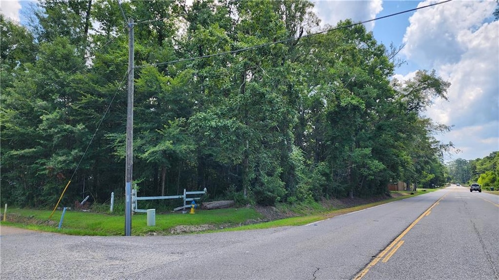 Land located at the corner of Hwy 190 East and Rap