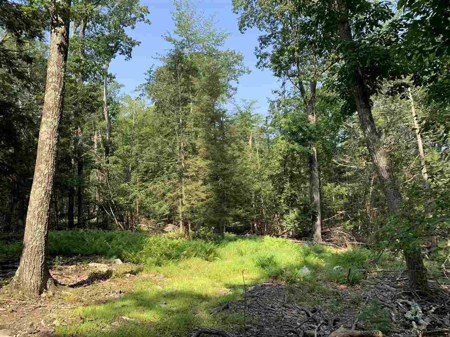 Lot 1 TBD Cherry Hill Rd, Stone Ridge, NY 12484 - photo 1