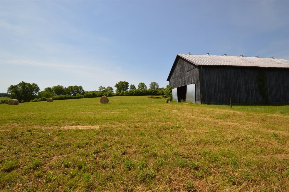 1723 Cummins Ferry Rd, Versailles, KY 40383 - photo 1